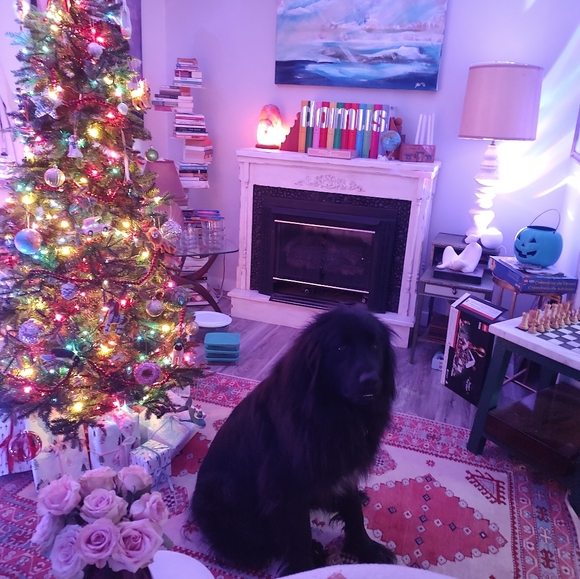 Meet your Posher, Nicole - Picture 1 of 1